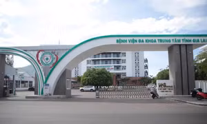  Khi cuộc thầu chỉ còn Công ty Việt Mỹ ở 'vòng cuối'