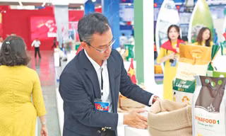  Gạo Việt muốn vươn xa, phải thoát khỏi cảnh “mạnh ai nấy làm”, lấy liên kết và uy tín làm nền tảng Ảnh XP
