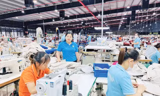 Hoạt động sản xuất tại một doanh nghiệp trên địa bàn tỉnh Lào Cai 