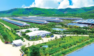 Từ khát vọng tự chủ đến thương hiệu toàn cầu 