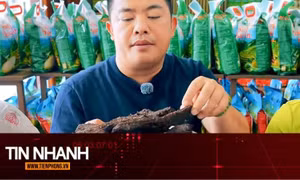TIN NHANH: Hải Sapa TV bị khởi tố: Nghịch lý từ dòng quảng bá 'đặc sản Tây Bắc'