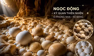 TP NOW: Hàng trăm ‘quả trứng’ bí ẩn nằm sâu trong hang động Phong Nha là gì?