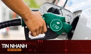 TIN NHANH: Hàng loạt hãng xe trả lời về khả năng tương thích của xăng E10