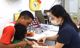Mỗi năm Việt Nam có gần 1 triệu người bị chó, mèo cắn 