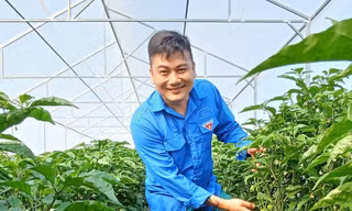 Những thanh niên 'nhóm lửa' khởi nghiệp giữa làng quê