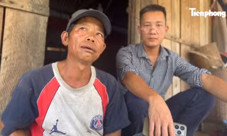 Uẩn khúc vụ không biết chữ nhưng 'đứng đơn' xin 60 ha đất trồng rừng ở Gia Lai