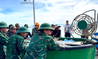 Gia Lai cảnh báo các vùng hứng chịu nặng nhất do bão Kalmaegi