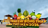 Đồng Tháp thúc đẩy phát triển ngành hàng trái cây theo hướng hiện đại