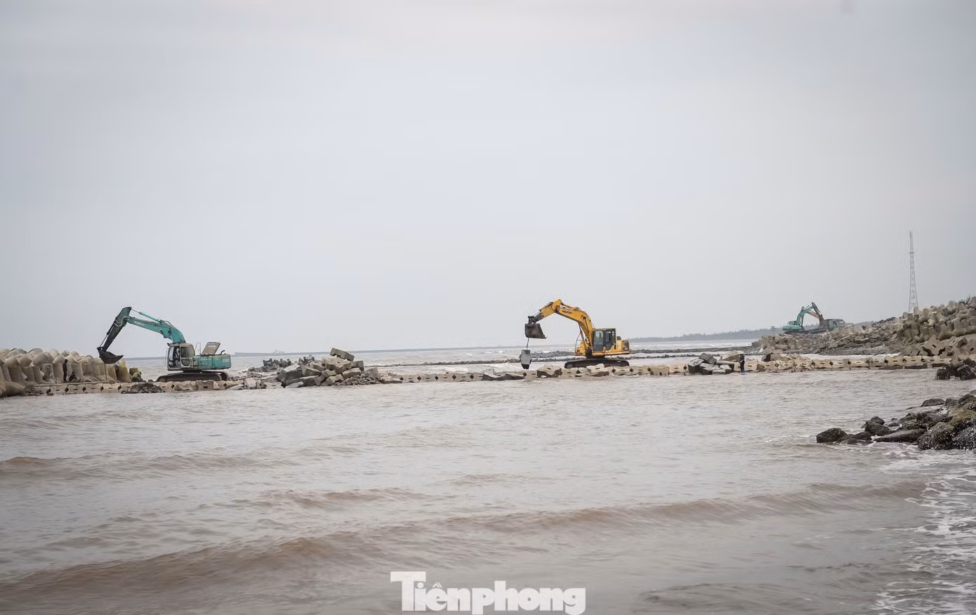 tp-c_2c3bf0c4-b341-4ec1-ab96-1e05db43df2c.jpg
