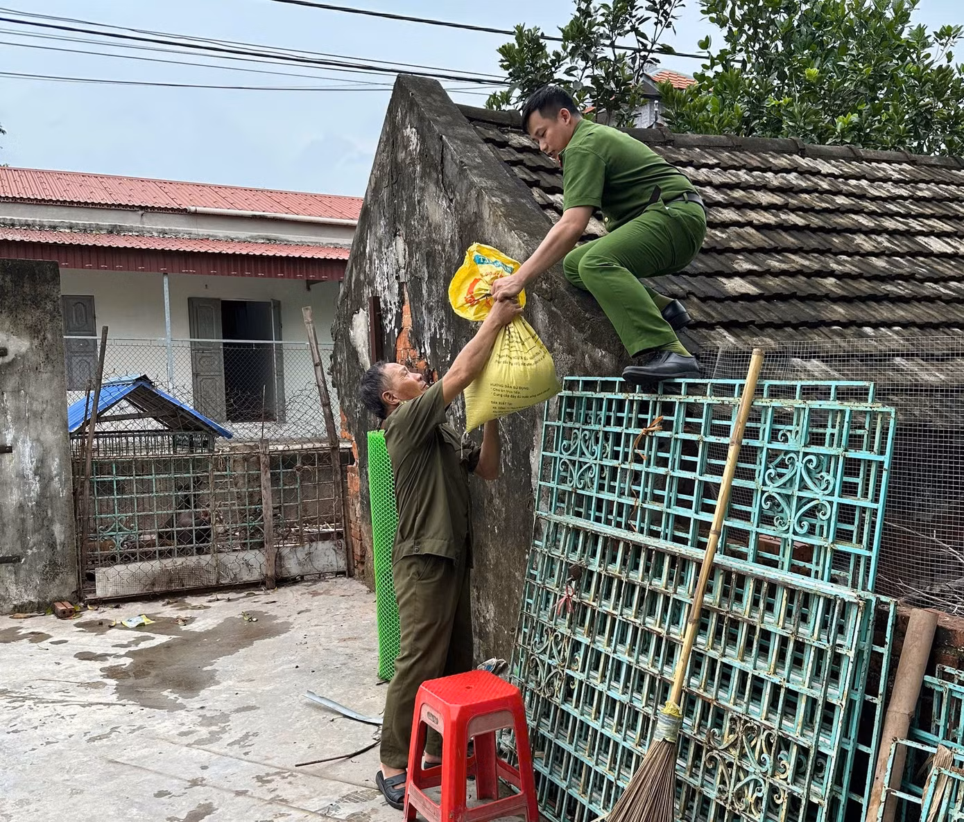 10.jpg