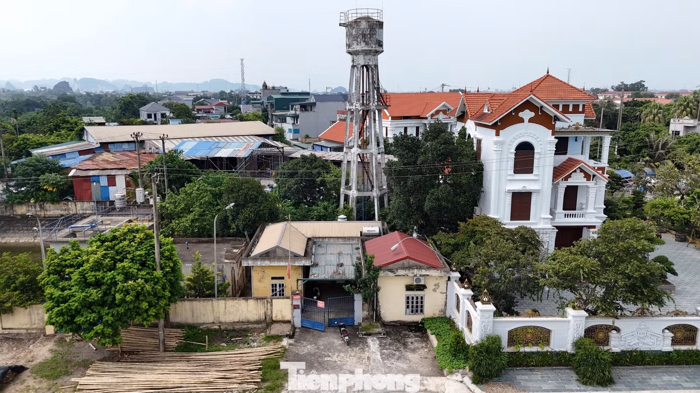 tp-c_0.jpg