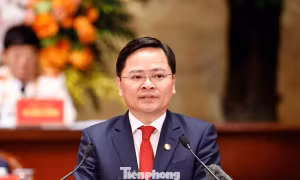 Nghiên cứu cơ chế thưởng theo tỷ lệ giá trị làm lợi