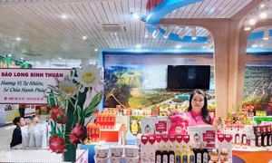 Trên thủ phủ thanh long: Từ cánh đồng rớt giá đến ý chí nâng tầm nông sản