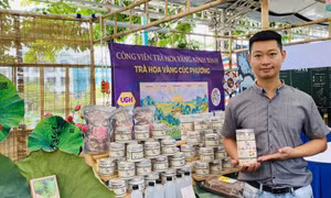 9X khởi nghiệp từ đồng ruộng quê hương, biến củ sen thành món phở độc đáo 