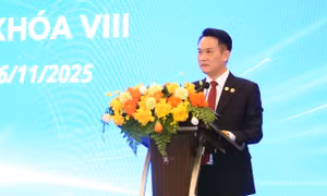 Anh Đặng Hồng Anh tái cử làm Chủ tịch Hội Doanh nhân trẻ Việt Nam khóa VIII