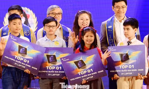 Hơn 32.000 thí sinh đoạt giải Violympic quốc gia năm học 2025 - 2026