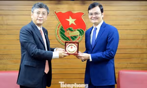 Thúc đẩy hợp tác thanh niên Việt Nam - Ấn Độ trên lĩnh vực công nghệ và văn hóa