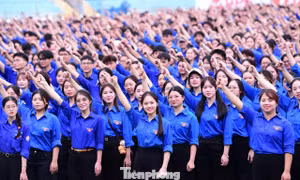Ban Bí thư T.Ư Đoàn ban hành kế hoạch tổ chức các hoạt động kỷ niệm 95 năm Ngày thành lập Đoàn