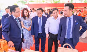 Đại sứ kết nối đầu tư, quỹ vốn mồi cho startup