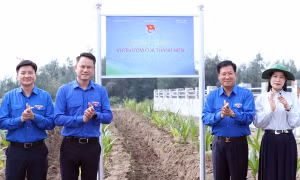 Ra quân toàn quốc cao điểm tình nguyện xây dựng nông thôn mới, làng quê đáng sống
