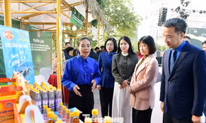 Sản phẩm khởi nghiệp thanh niên khẳng định chất lượng, thể hiện rõ tư duy đổi mới