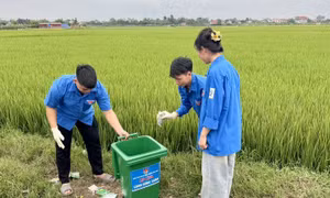 'Cánh đồng xanh’ của tuổi trẻ Thái Nguyên