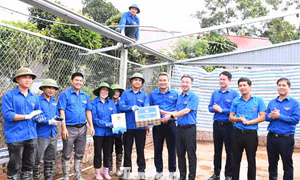 Trung ương Đoàn yêu cầu 'nước rút' hỗ trợ thi công dự án 500kV Lào Cai - Vĩnh Yên
