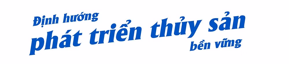 thuy-san-s7.jpg