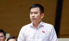 Từ hiện tượng giang hồ mạng, đại biểu Quốc hội đặt câu hỏi về trách nhiệm