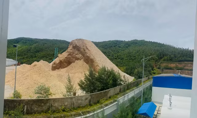 Di chuyển bãi gỗ dăm cạnh kho xăng dầu, khí hóa lỏng ở Hà Tĩnh