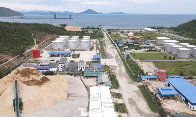 Thông tin mới vụ bãi gỗ dăm cạnh kho xăng dầu, khí hóa lỏng ở Hà Tĩnh