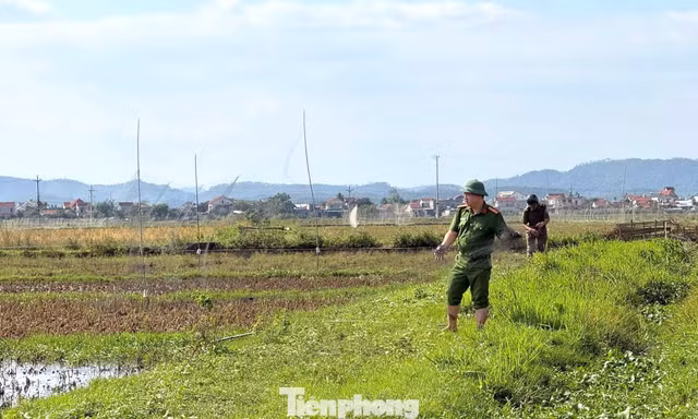 Công an lội ruộng gỡ 'ma trận' bẫy, ngăn nạn tận diệt chim trời