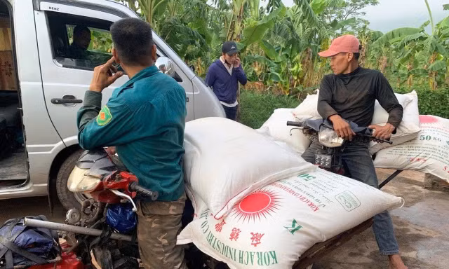 Thu giữ 36 tấn đường nhập lậu ở Lao Bảo