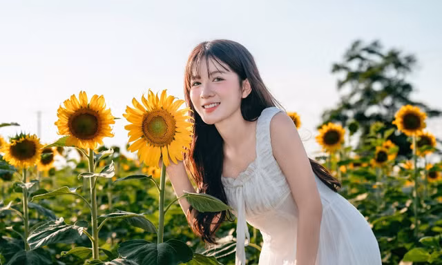 Giới trẻ đổ về săn ảnh giữa cánh đồng hoa hướng dương lớn nhất Việt Nam