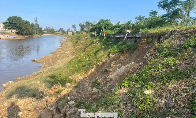 Sạt lở đê, gần 3 nghìn dân thấp thỏm lo âu