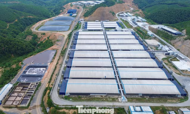 Một xã ‘gánh’ bảy trại lợn với quy mô hơn 100.000 con, chính quyền lo thành điểm nóng môi trường