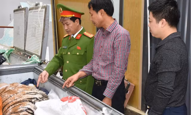 Xây hầm cất giấu ‘chúa sơn lâm’
