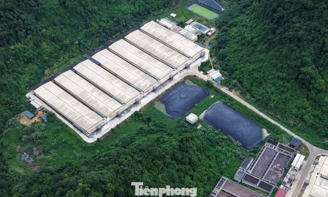 Thanh Hóa tổng kiểm tra cơ sở chăn nuôi sau vụ tai nạn trong trại lợn làm 5 người chết