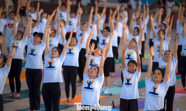 Hơn 1.500 người đồng diễn trong Ngày Quốc tế Yoga 2026