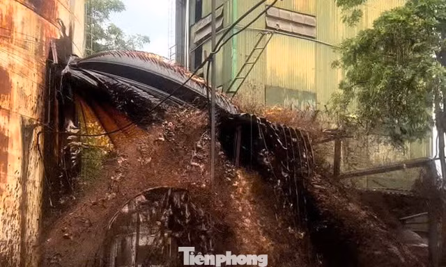 Sét đánh làm 2.000 tấn mật tràn ra ngoài: Có độc không, xử lý thế nào?