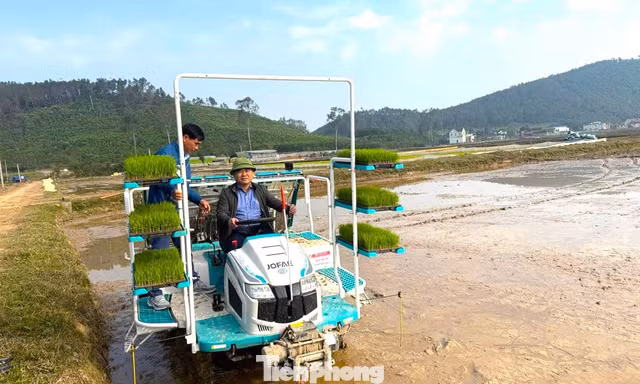 Đầu tư tiền tỷ làm mạ khay hiện đại, anh nông dân ở Nghệ An 'đắt sô' vụ cấy lúa