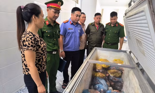 Khởi tố đối tượng giết mổ, tiêu thụ thịt lợn nhiễm dịch tả châu Phi