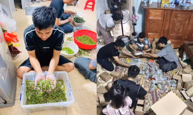‘Bão đơn’ ớt muối sau lời cầu cứu đừng mua hàng của vợ