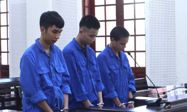 Bí mật trong chuồng gà khiến gã trai 20 tuổi lĩnh án 16 năm tù