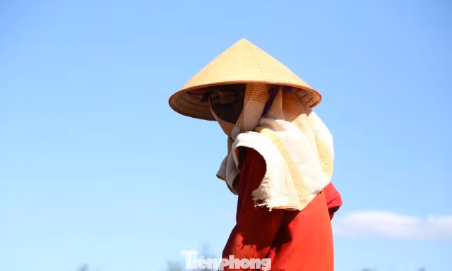 Cảnh người lao động ‘đốt sức’ giữa trời nắng đỉnh điểm