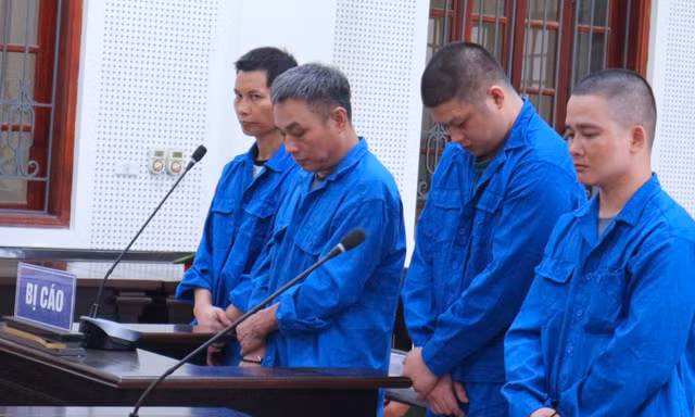Đào ma túy chôn dưới vườn lên phơi nắng, người đàn ông bị bắt