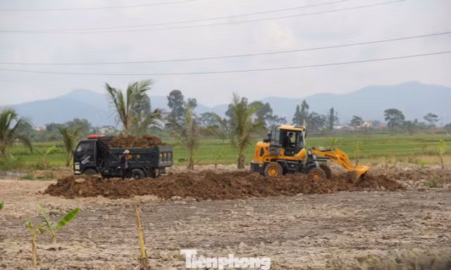 San lấp hơn 4.000m² đất lúa, bị phạt 70 triệu đồng