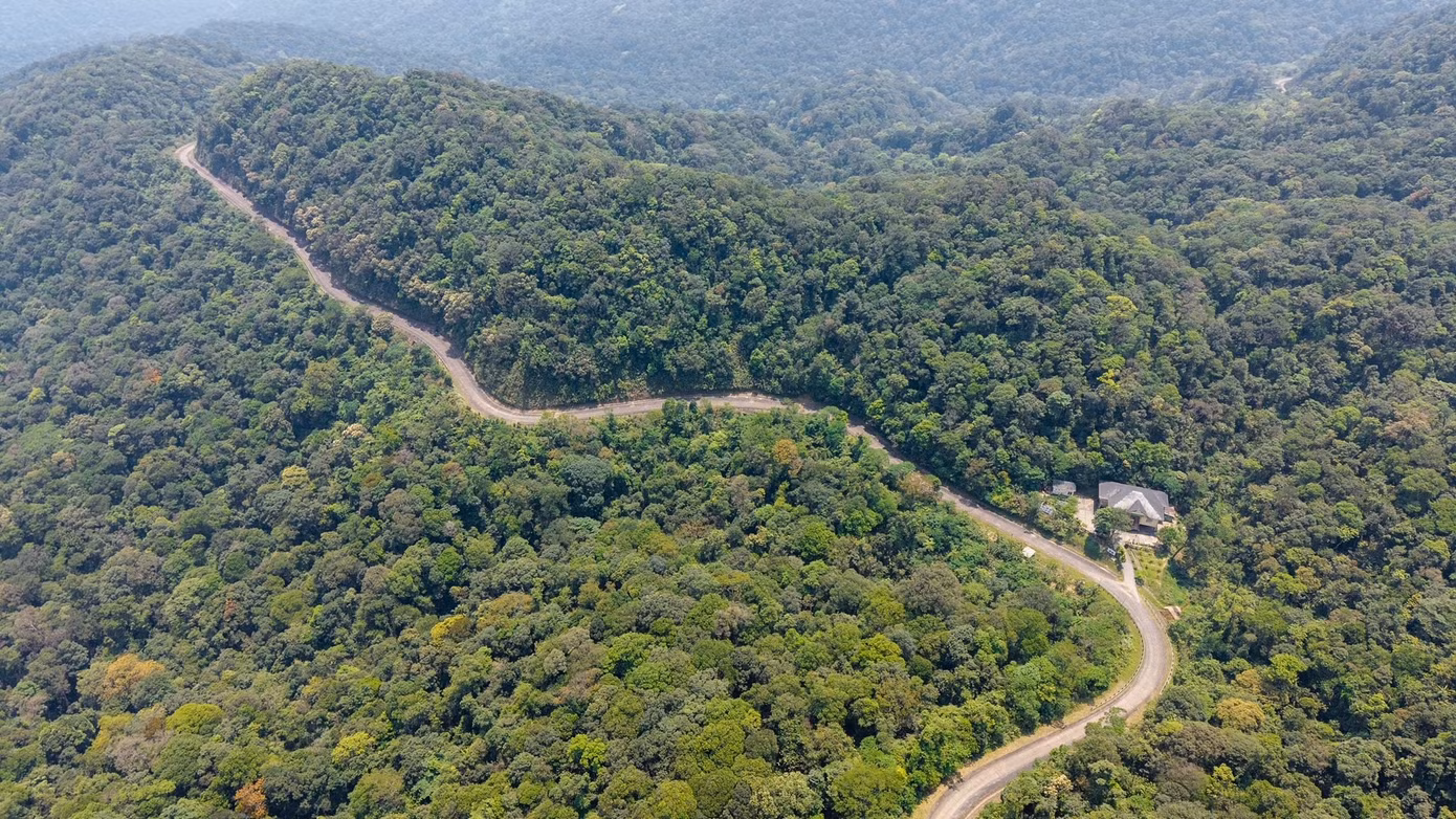 dji-20260408114653-0585-d.jpg