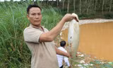 Vụ vỡ bờ bao hố chôn rác ở Quảng Ngãi: Cá chết hàng loạt, nước bốc mùi hôi