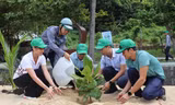Khởi động chương trình trồng 1 tỷ cây xanh tại đảo Cù Lao Chàm